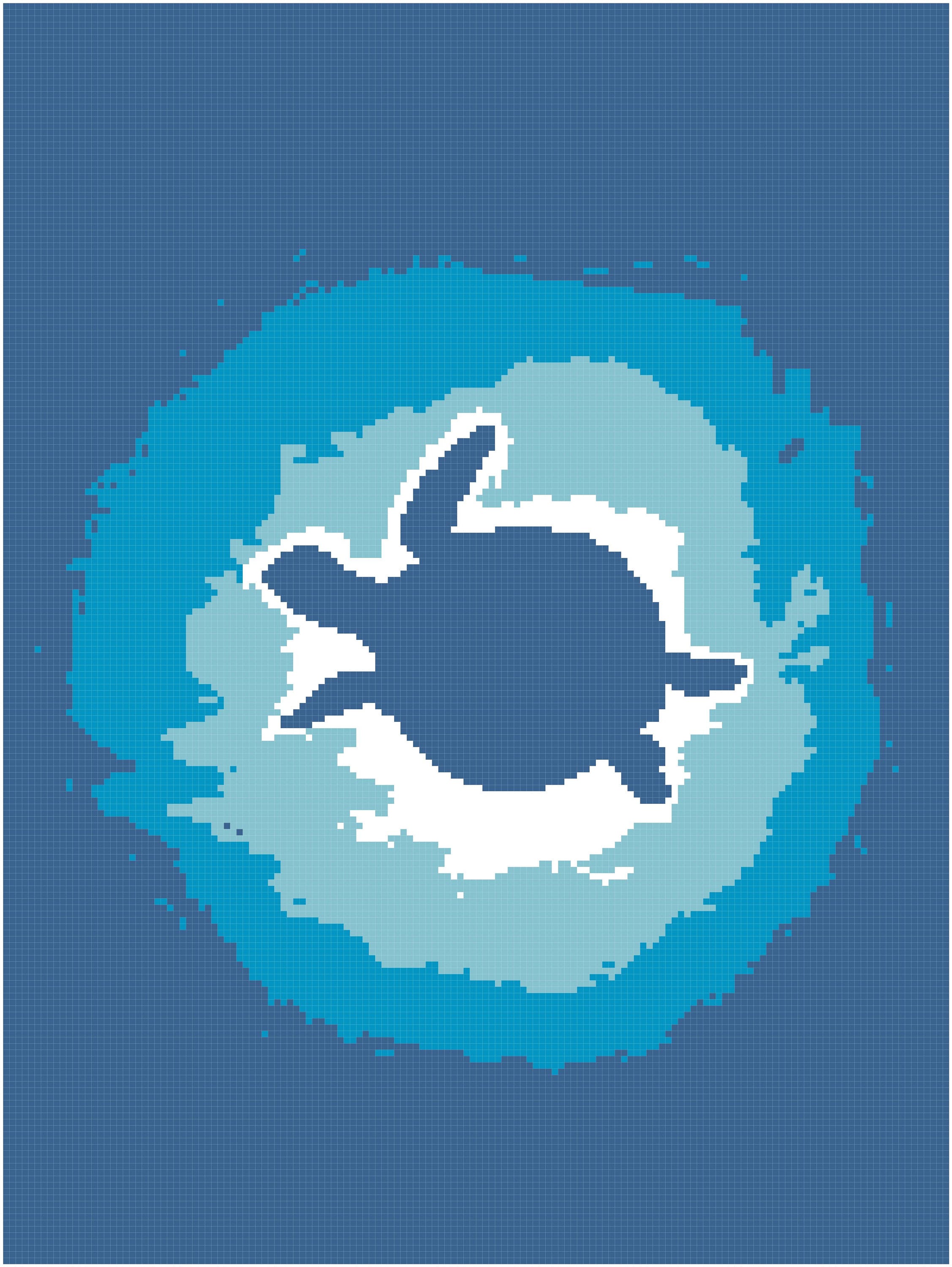 Turtle Blanket Graph Pattern - Etsy