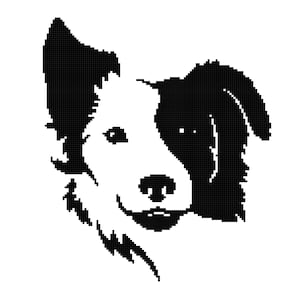 Border Collie  Graph  Blanket Pattern