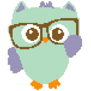 Educated Owl Graph Baby  Blanket Pattern