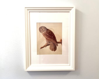 Great Gray Owl Framed Wall Art John James Audubon Gift