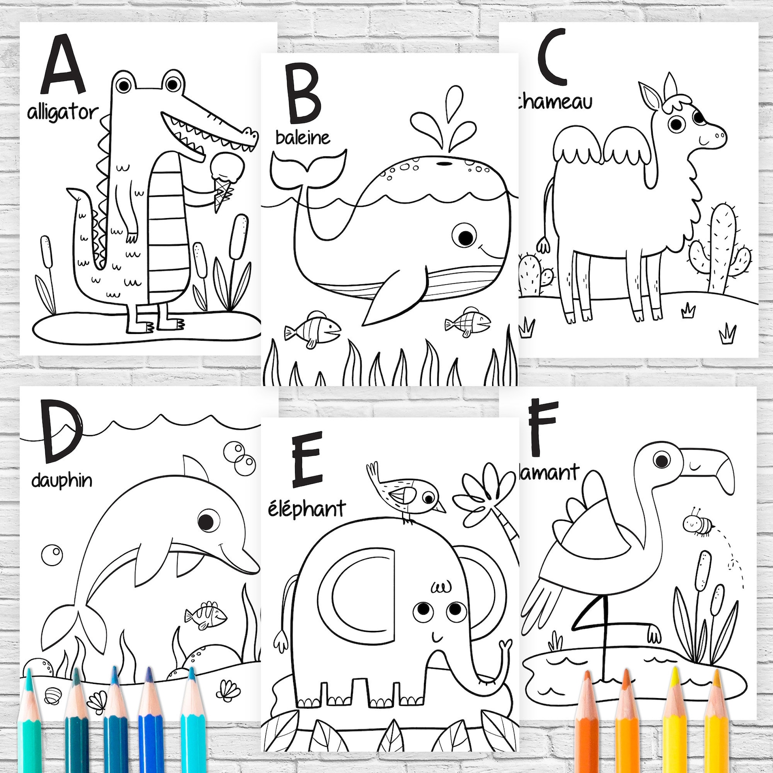 Alphabet à colorier en FRANÇAIS coloriages animaux sauvages  Etsy Canada