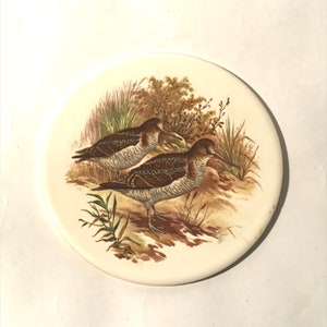 Vintage 1970s Pheasant Bird Natural Illustration Collectible Mid State Tile Round Trivet