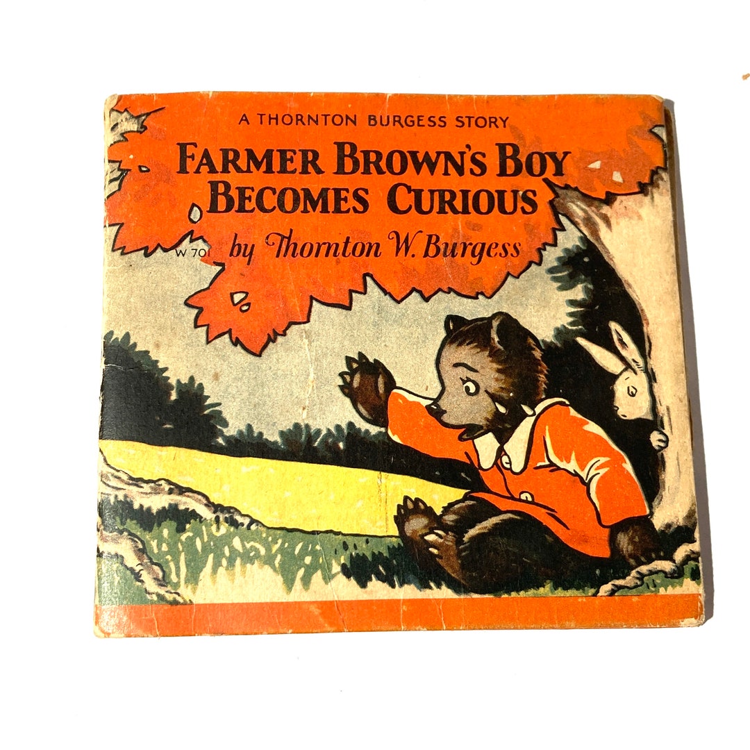 Vintage 1927 Farmer Brown's Boy Becomes Curious by Thornton Burgess ...