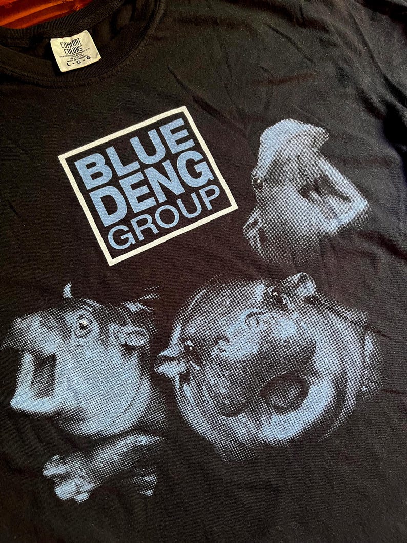 The Blue Deng Group T-shirt - Etsy
