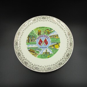 Tennessee Souvenir plate, US State souvenir plate, colorful souvenir plate, Tennessee landmark plate, vintage souvenir plate, retro souvenir