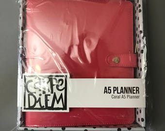CARPE DIEM PLANNER, Personal Planner, A5 Planner, Blush Planner, Coral  Planner, Robin's Egg Planner, New Planner, Planner Supplies, Binder 