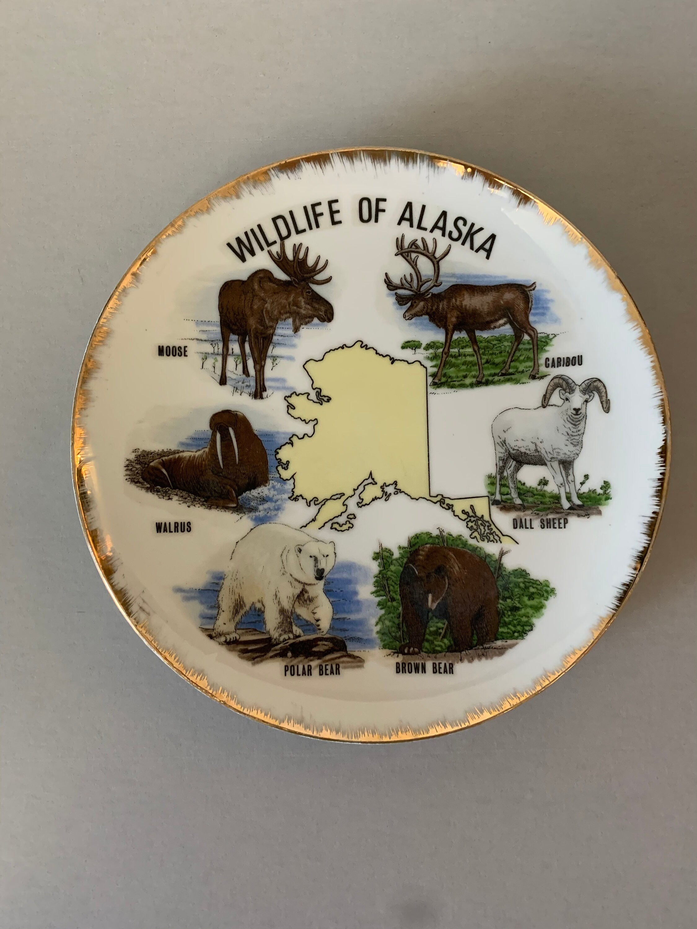 Wildlife plate Wildlife of Alaska plate Alaska souvenir Etsy