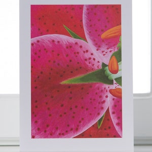 Hot Pink Lily Greeting Card, Lilium 'Stargazer' Floral Watercolor by Mary Michola Fibich, Botanical Art Cards, Floral Stationary image 9