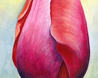 Tulip 'Menton' by Mary Michola Fibich, Red, Pink and Orange Tulip Watercolor Print, Signed Fine Art Print, Spring Flower Art,  Wall Decor