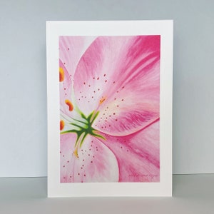Pink Lily Flower Greeting Card~Lilium 'Vivaldi' Floral Watercolor Painting by Mary Michola Fibich, Floral Blank Greeting Card, Stationary