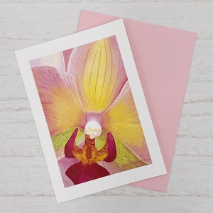 Pink and Yellow Orchid Greeting Card, Phalaenopsis &#39;Irene&#39;s Flame&#39; Orchid Floral Watercolor by Mary Michola Fibich, Exotic Flower Card