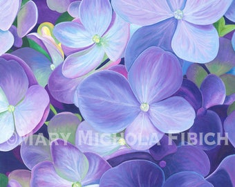 Hydrangea macrophylla 'Nikko Blue' by Mary Michola Fibich, Purple and Blue Hydrangea Watercolor, Signed Flower Print, Floral Home Decor