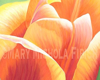 Tulip 'Cash' by Mary Michola Fibich, Bright Orange Tulip, Spring Flower Painting, Tulip Art, Flower Wall Art, Gardener Gift