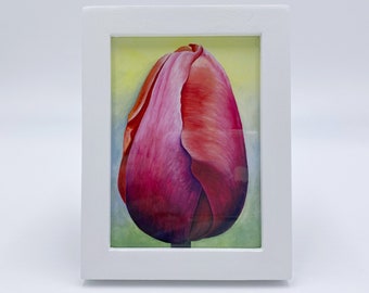 Mini Framed Red and Pink Tulip Print, Tulip 'Menton' by Mary Michola Fibich, Flower Print, Tulip Art, Floral Gift, Flower Decor