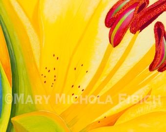 Lilium 'Dreamland' by Mary Michola Fibich, Yellow and Red Daylily Fine Art Print, Hand-Signed Flower Print, Watercolor Flower, Wall Art
