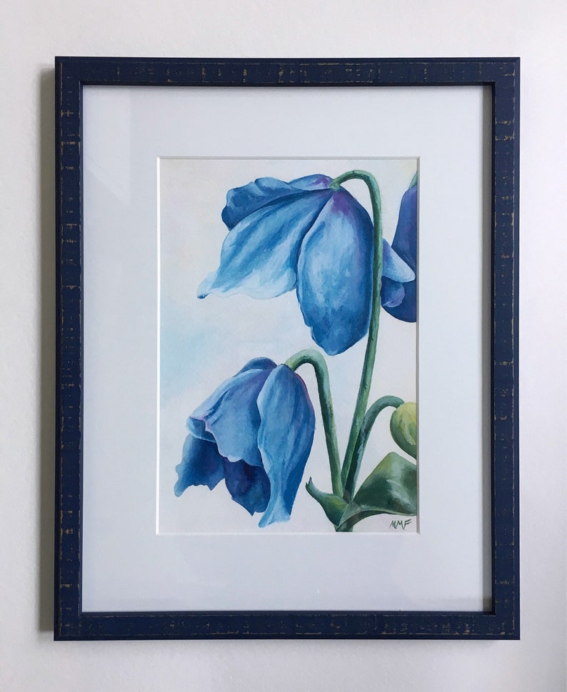 Meconopsis 'Lingholm' by Mary Michola Fibich, Himalayan Blue Poppy, Watercolor Poppy Print, Blue Poppy Wall Art, Fine Art Floral Print image 3