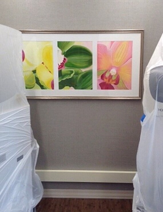 ホビー・楽器・アート My Flower MJI Flower • Set 13068 • SetDB • Merlins Bricks