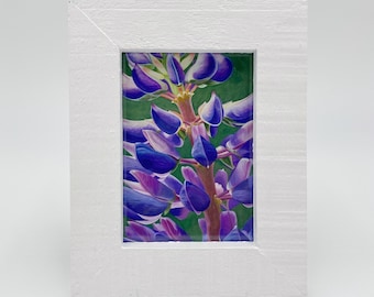 Mini Framed Purple Lupine Print, Maine Lupine, Watercolor & Gouache Lupinus 'Perennis' Print by Mary Michola Fibich, Floral Art, Home Decor