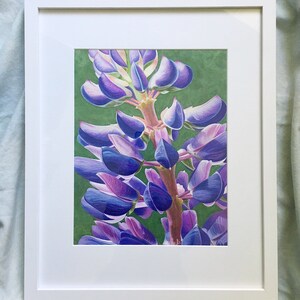 Fine Art Flower Giclee Print, Hand-Signed, Watercolor Painting, Maine Art, Flower Print, Lupinus 'Perennis' by Mary Michola Fibich image 2