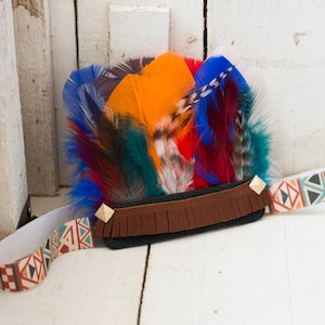 Multi Colored  Feather Crown