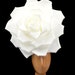 see more listings in the Fascinadores florales section