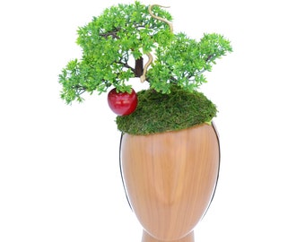 Bonsai "Garden of Eden" Pop Surrealist Fascinator Hatinator Hut - Kann auf Melone gemacht werden - Apfelschlange, Kostüm, Wald, Natur