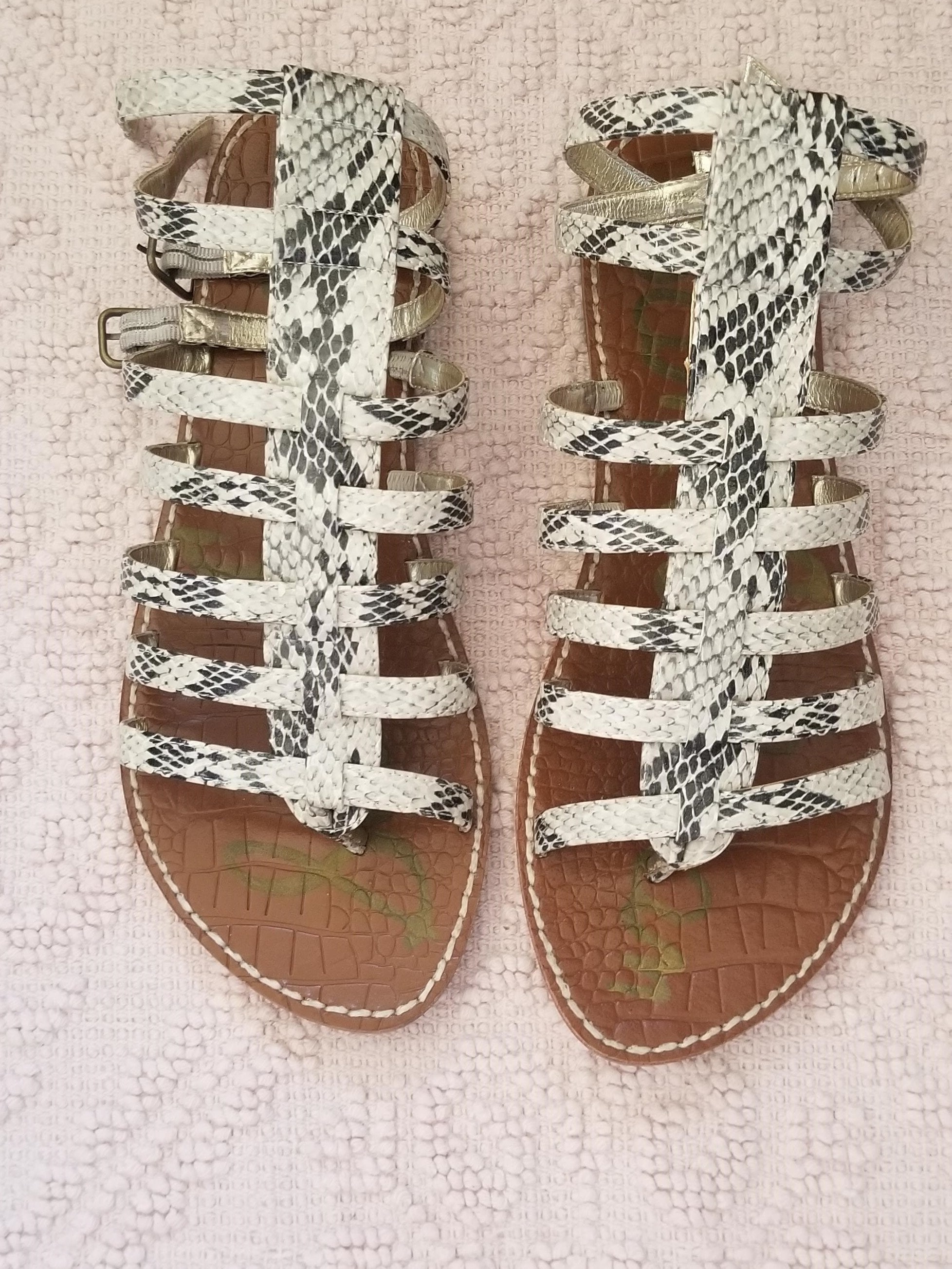 Sam edelman cheap gilda gladiator sandals