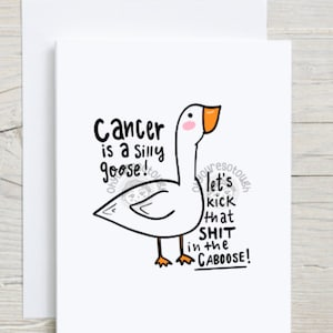 Funny Cancer Support Card - Silly Goose - Cancer Encouragement - Cancer Fighter - Chemo Gift - Cancer Card - Cancer Greeting Card Funny
