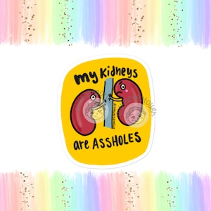 Kidney Disease Sticker Funny - My Kidneys are Assholes - Kidney Cancer Sticker - Kidney Transplant Gift - Kidney Sticker - Kidney Gifts