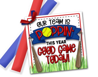 Softball Treat Tags, Softball Good Luck Favor Tags, Good Game, Softball Game Treat Tag, Popsicle, Softball Tournament, Softball Printable