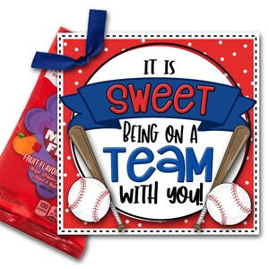 Baseball Treat Tags, Baseball Good Luck Favor Tags, It is Sweet Being on a Team with You, Baseball Game Snacks Tag, Treat Tag, Tournament