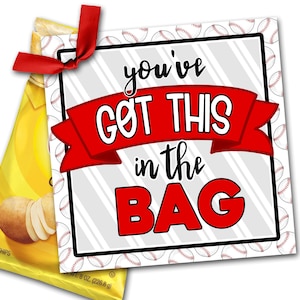 Baseball Treat Tags, Baseball Good Luck Favor Tags, You've Got this in the Bag, Baseball Game Treat Tag, Treat Tag, Baseball Turnier