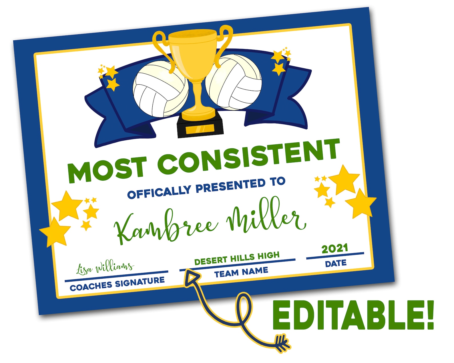 Volleyball Team Awards Editable PDF File Volleyball Etsy