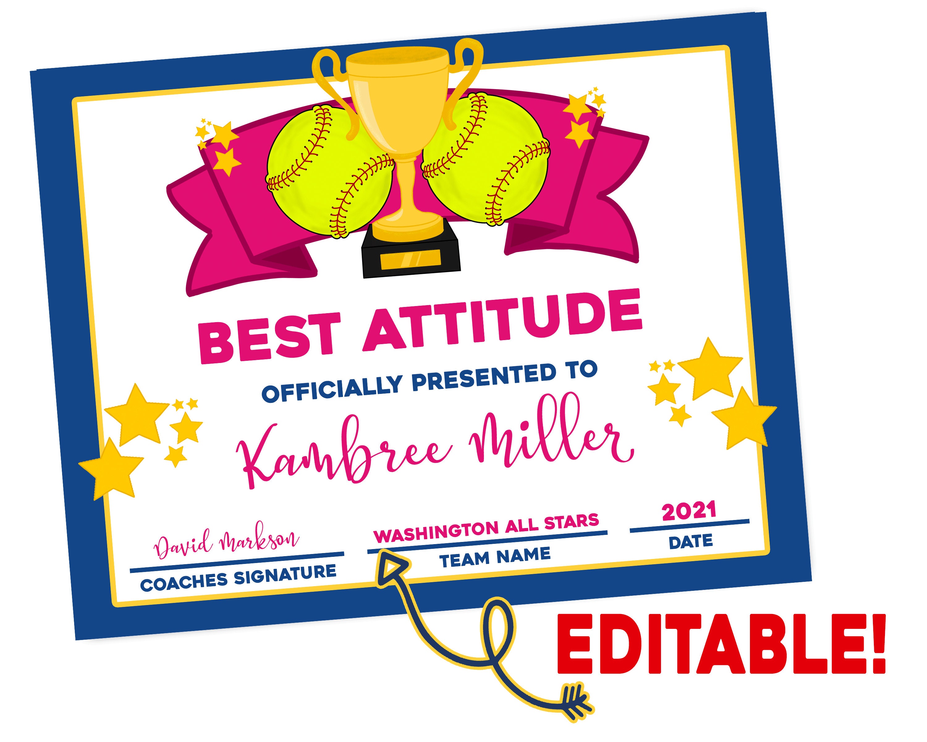 Softball Team Awards Editable PDF File Softball | Etsy
