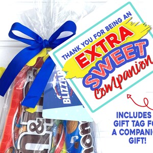 LDS Missionary Birthday Package, Printable Missionary Birthday Package, LDS Care Package, LDS ...