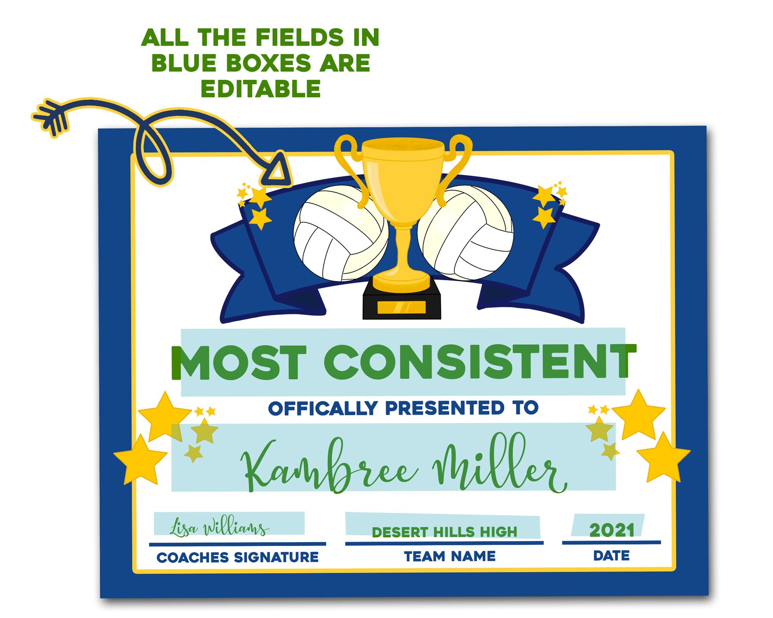 Volleyball Team Awards Editable PDF File Volleyball Etsy