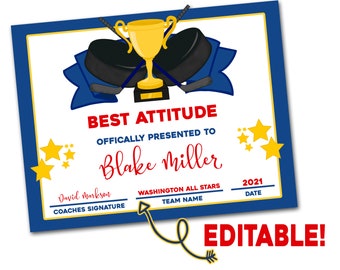 Hockey Team Awards, Editable PDF File, Hockey Certificates, End of Season Awards, Team Certificates, Team Recognition Awards, Print, Ice