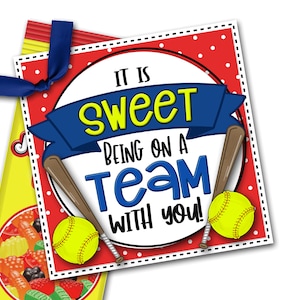 Softbal Treat Tags, Softball Good Luck Favor Tags, Het is lief om met jou in een team te zitten, Softball Game Snacks Tag, Treat Tag, Toernooi