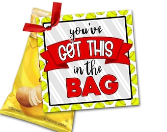 Softball Treat Tags, Softball Good Luck Favor Tags, You've got this in the bag, Softball Game Treat Tags, Treat Tag, Softball Tournament