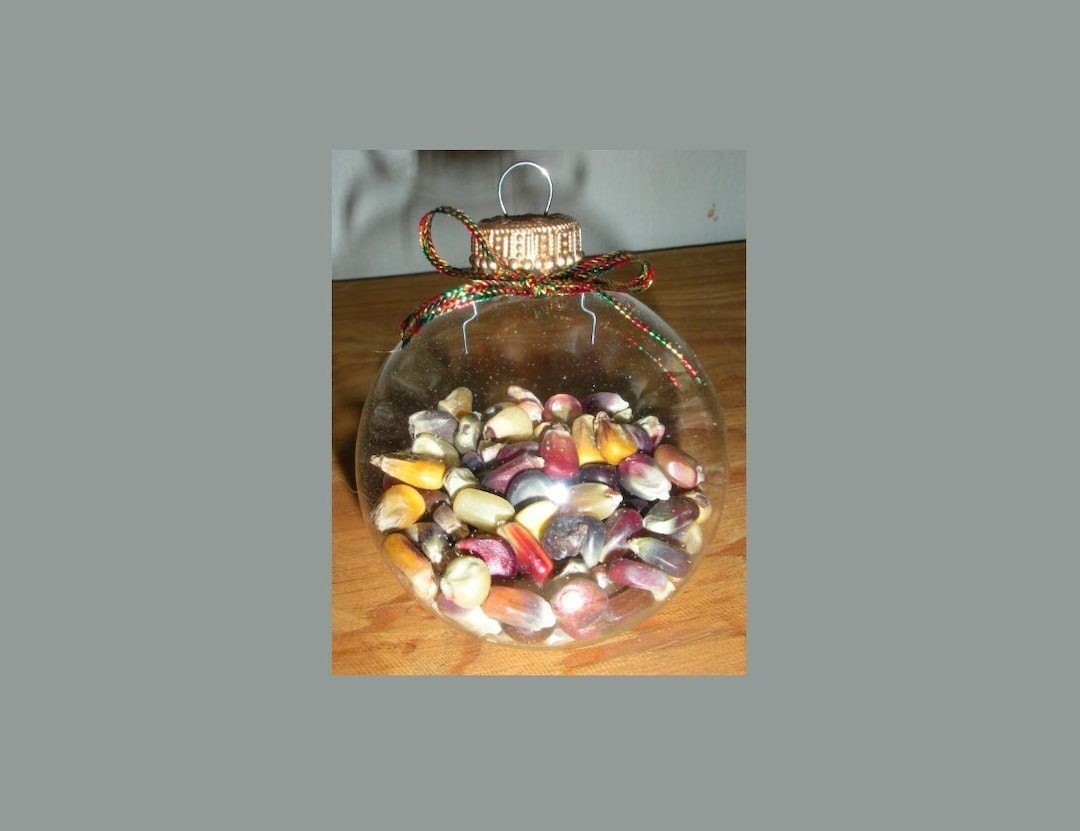 GLASS Indian Corn Ball Ornament-christmas Bulb-bola-navidad-native ...