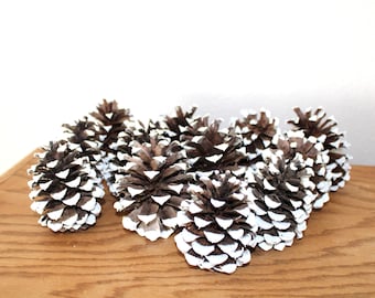 May include: A group of brown pine cones with white paint on the tips of the scales. The pine cones are arranged on a wooden surface.