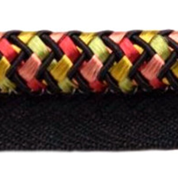 3/8" (1cm) Basket Weave Design Rope Cord with Lip (Style# 0038AR) #AR06 Sold By The Yard (36"/3 ft/0.9m)