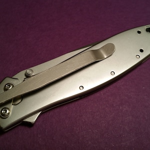 Kershaw Leek - Plain Design Tip Down