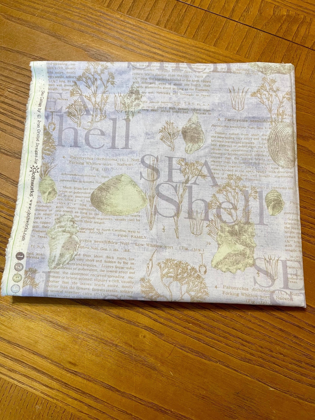 Sea Shells Cotton Fabric: Light Periwinkle Sea Cottage Design - Etsy