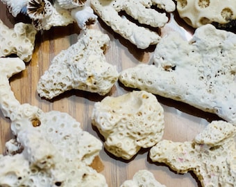 Coral Pieces: Coastal Home Decor, Craft Supply