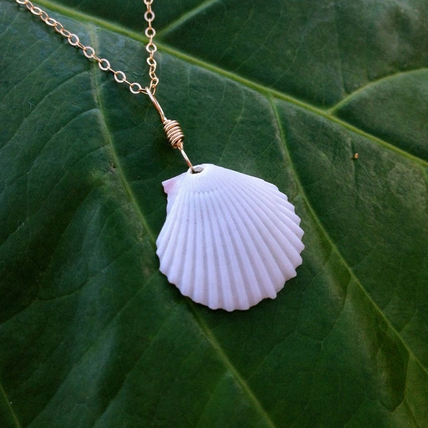 Hawaiian Scallop Shell 14K Gold Filled Wire Charm Pendant for your Gold Necklace,Handmade Seashell Jewelry,Beach Nautical Gift for Her