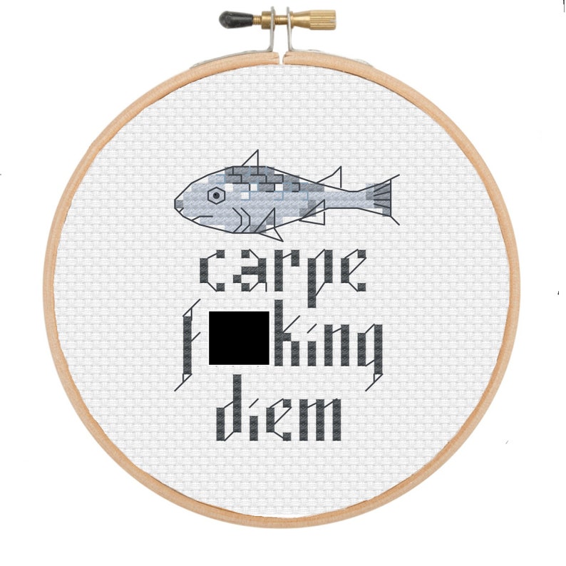 PATTERN: Carpe Fcking Diem rude cross stitch pattern instant download image 1