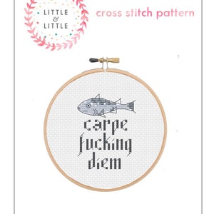 PATTERN: Carpe Fcking Diem rude cross stitch pattern instant download image 4