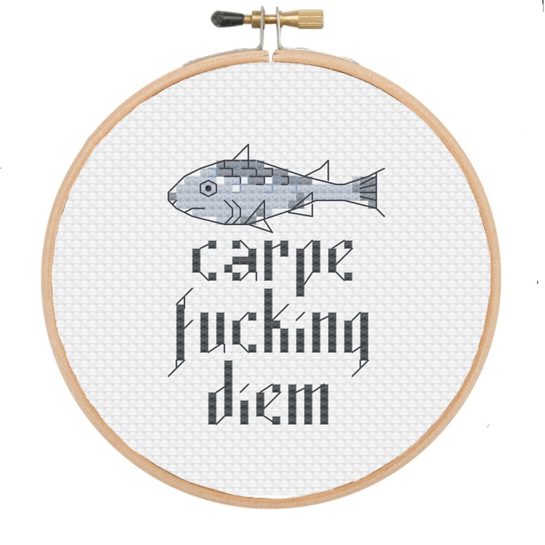 PATTERN: Carpe Fcking Diem rude cross stitch pattern instant download image 2