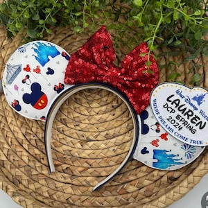 DCP inspired mouse ears, park ears, mouse headband, DCP gift